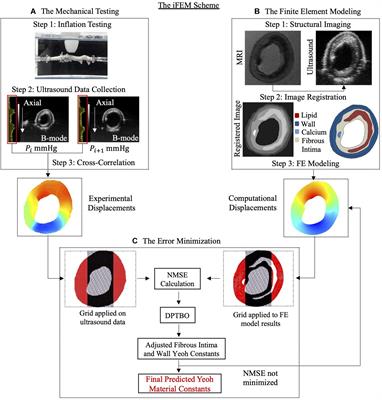 Multicomponent Mechanical Characterization of Atherosclerotic Human Coronary Arteries: An Experimental and Computational Hybrid Approach